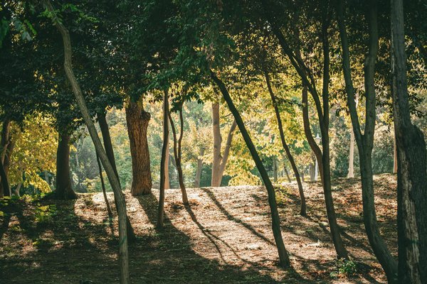 Comment prévenir la MPOC